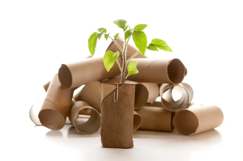 Sustainable & Recycled